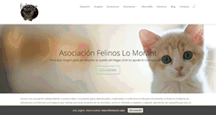 Desktop Screenshot of felinoslomorant.com